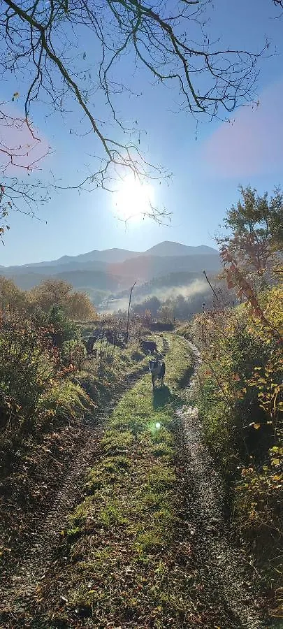 Domaine Le Lanis Chambre d'hôtes avec piscine et spa Saint-Girons  0*, Saint-Girons (Ariege)