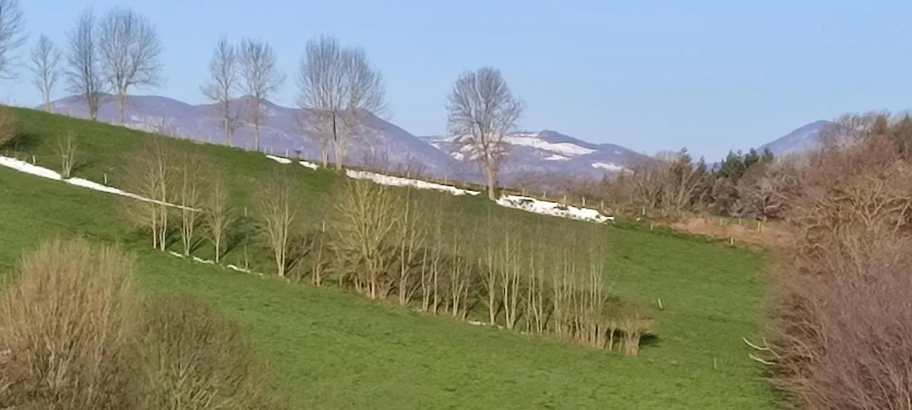 Domaine Le Lanis Chambre d'hôtes avec piscine et spa Saint-Girons  Couette-café Saint-Girons (Ariege)